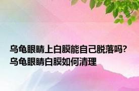 乌龟眼睛上白膜能自己脱落吗? 乌龟眼睛白膜如何清理