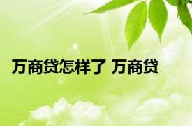 万商贷怎样了 万商贷 