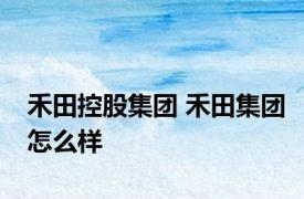 禾田控股集团 禾田集团怎么样 