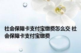 社会保障卡支付宝缴费怎么交 社会保障卡支付宝缴费 