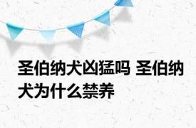 圣伯纳犬凶猛吗 圣伯纳犬为什么禁养