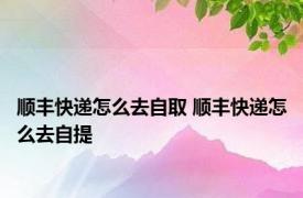 顺丰快递怎么去自取 顺丰快递怎么去自提