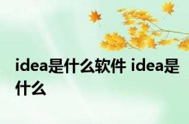 idea是什么软件 idea是什么