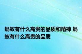 蚂蚁有什么高贵的品质和精神 蚂蚁有什么高贵的品质