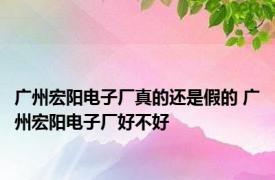 广州宏阳电子厂真的还是假的 广州宏阳电子厂好不好 