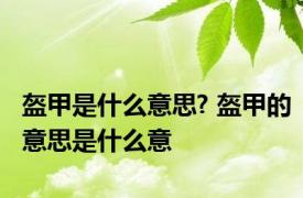 盔甲是什么意思? 盔甲的意思是什么意