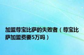 加盟尊宝比萨的失败者（尊宝比萨加盟费要5万吗）