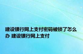 建设银行网上支付密码被锁了怎么办 建设银行网上支付 