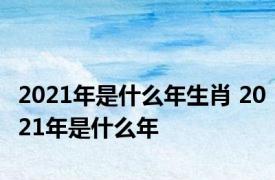 2021年是什么年生肖 2021年是什么年 