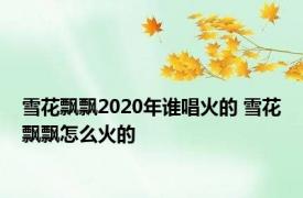 雪花飘飘2020年谁唱火的 雪花飘飘怎么火的