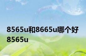 8565u和8665u哪个好 8565u 