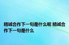 精诚合作下一句是什么呢 精诚合作下一句是什么