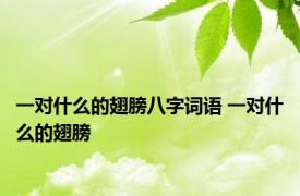 一对什么的翅膀八字词语 一对什么的翅膀 