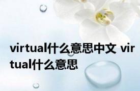 virtual什么意思中文 virtual什么意思