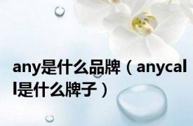 any是什么品牌（anycall是什么牌子）