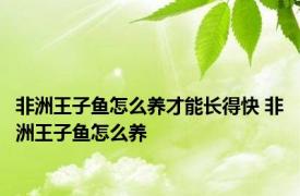 非洲王子鱼怎么养才能长得快 非洲王子鱼怎么养