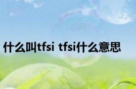 什么叫tfsi tfsi什么意思