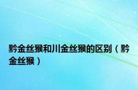 黔金丝猴和川金丝猴的区别（黔金丝猴）