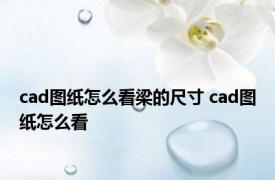 cad图纸怎么看梁的尺寸 cad图纸怎么看 