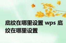 底纹在哪里设置 wps 底纹在哪里设置