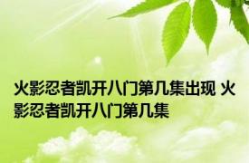 火影忍者凯开八门第几集出现 火影忍者凯开八门第几集