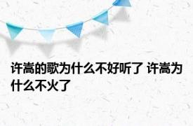 许嵩的歌为什么不好听了 许嵩为什么不火了 