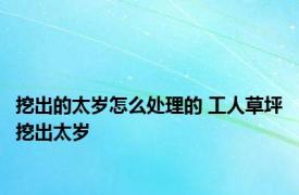 挖出的太岁怎么处理的 工人草坪挖出太岁 