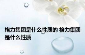 格力集团是什么性质的 格力集团是什么性质