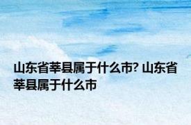 山东省莘县属于什么市? 山东省莘县属于什么市