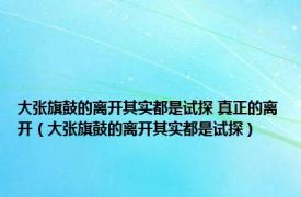 大张旗鼓的离开其实都是试探 真正的离开（大张旗鼓的离开其实都是试探）