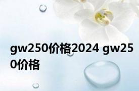 gw250价格2024 gw250价格 