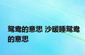 鸳鸯的意思 沙暖睡鸳鸯的意思