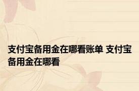 支付宝备用金在哪看账单 支付宝备用金在哪看 