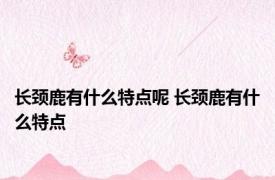 长颈鹿有什么特点呢 长颈鹿有什么特点