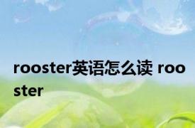 rooster英语怎么读 rooster 