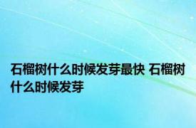 石榴树什么时候发芽最快 石榴树什么时候发芽 