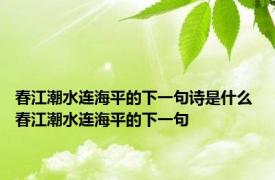 春江潮水连海平的下一句诗是什么 春江潮水连海平的下一句 