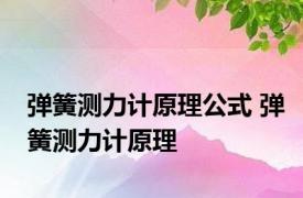 弹簧测力计原理公式 弹簧测力计原理