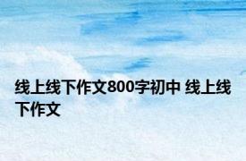 线上线下作文800字初中 线上线下作文 