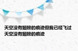 天空没有翅膀的痕迹但我已经飞过 天空没有翅膀的痕迹 