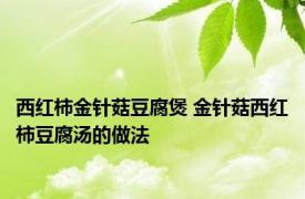 西红柿金针菇豆腐煲 金针菇西红柿豆腐汤的做法