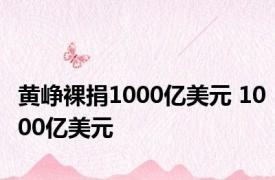 黄峥裸捐1000亿美元 1000亿美元 