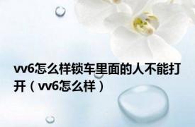 vv6怎么样锁车里面的人不能打开（vv6怎么样）