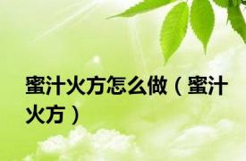 蜜汁火方怎么做（蜜汁火方）