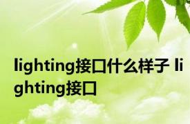 lighting接口什么样子 lighting接口 