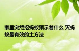 家里突然招蚂蚁预示着什么 灭蚂蚁最有效的土方法