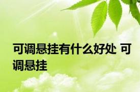 可调悬挂有什么好处 可调悬挂 