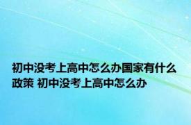 初中没考上高中怎么办国家有什么政策 初中没考上高中怎么办 