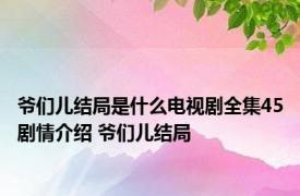 爷们儿结局是什么电视剧全集45剧情介绍 爷们儿结局 