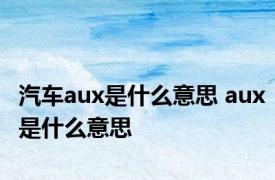 汽车aux是什么意思 aux是什么意思